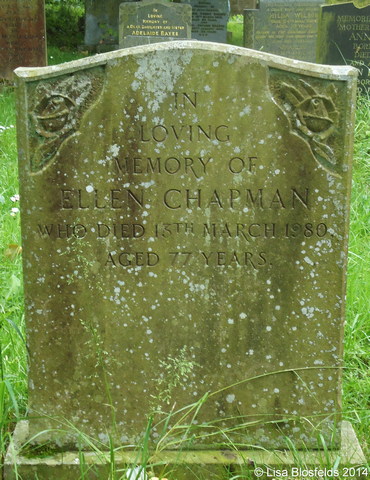 Chapman(164)188
