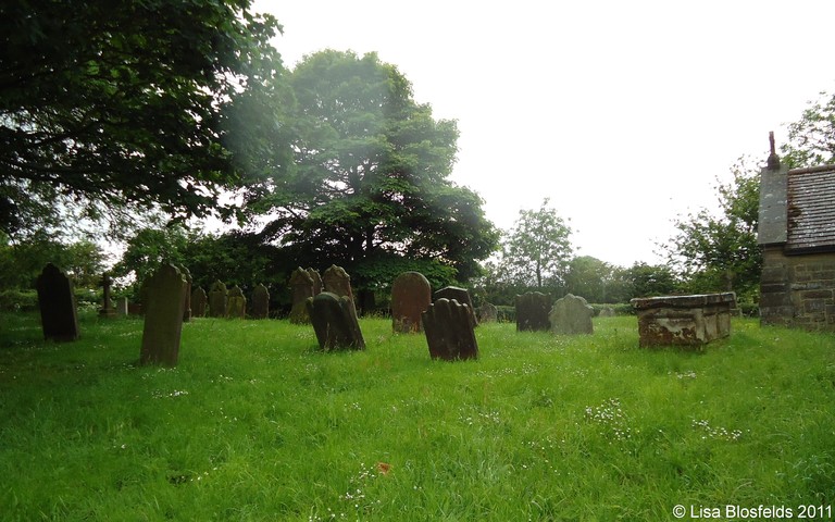 Churchyard_-_south_side_from_E217