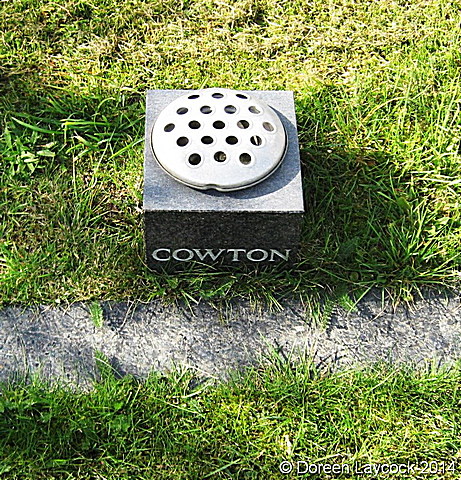 Cowton099