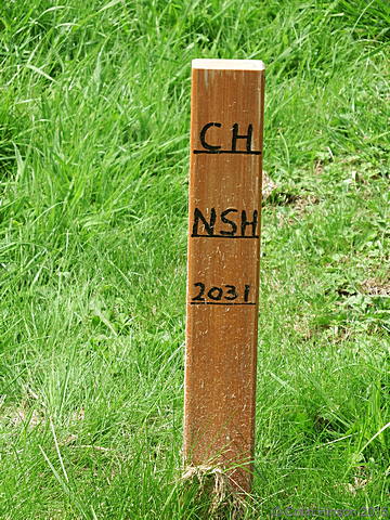 CH-NSH0532