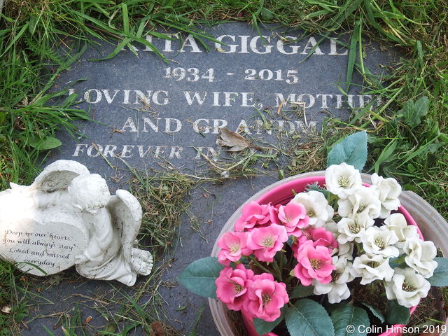 Giggal0342