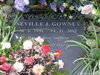 Gowney0177_small.jpg