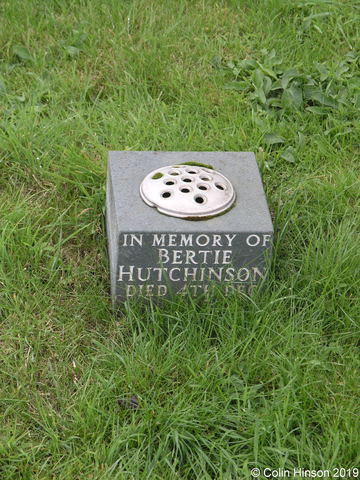 Hutchinson0211