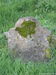 Morley0059_small.jpg