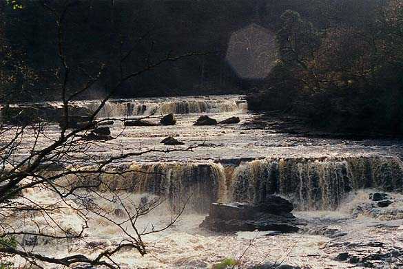 The falls at Aysgarth, Aysgarth