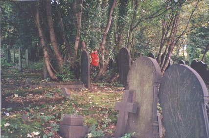 Wardsend Cemetery, View 2.
